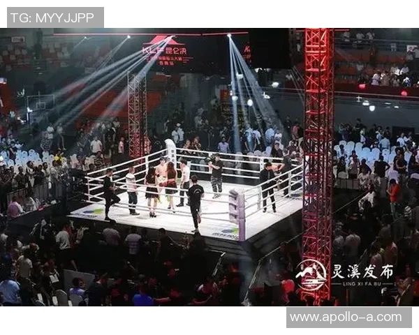 一龙与内山政人巅峰对决谁能问鼎武道之巅引发拳迷热议